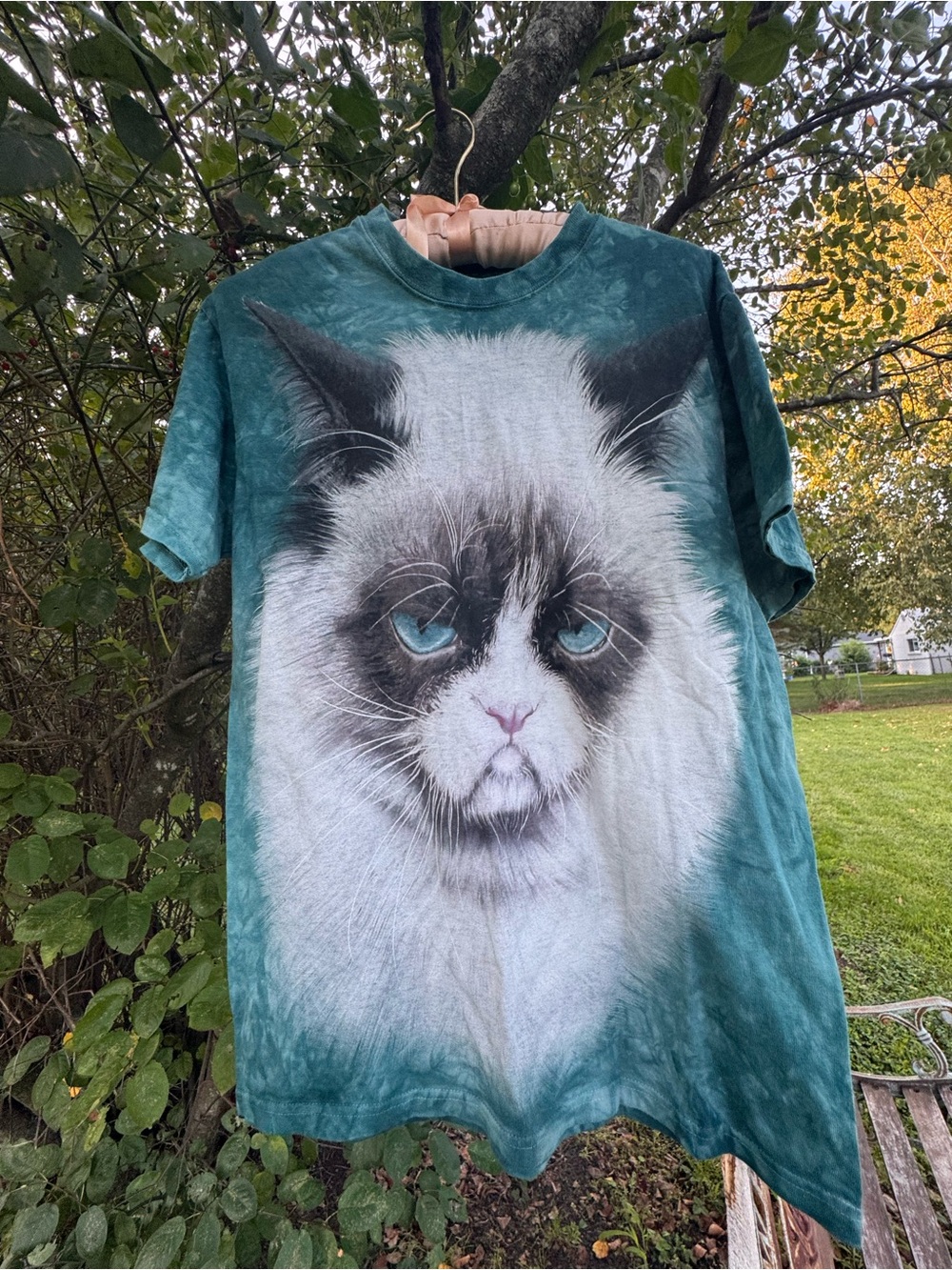 The Mountain Teal Tie-Dye T-Shirt with Blue-Eyed Cat